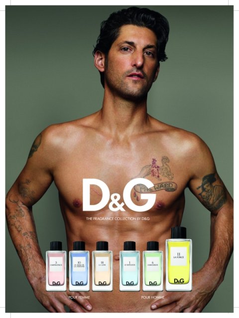 d&g anthology collection